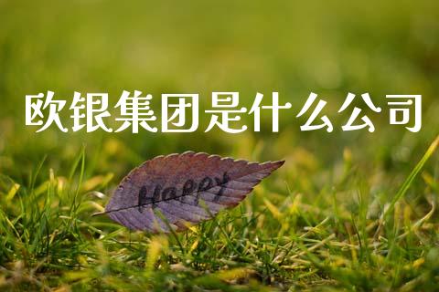 欧银集团是什么公司_https://wap.lxcailiao.com_融资担保_第1张