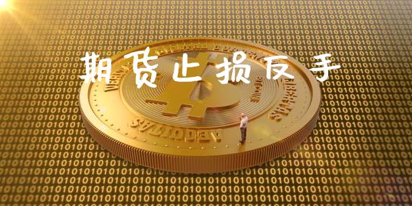 期货止损反手_https://wap.lxcailiao.com_财务管理_第1张