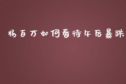 杨百万如何看待午后暴跌_https://wap.lxcailiao.com_融资担保_第1张