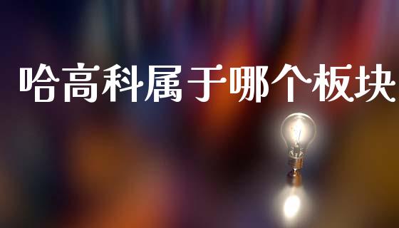 哈高科属于哪个板块_https://wap.lxcailiao.com_财务管理_第1张