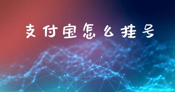 支付宝怎么挂号_https://wap.lxcailiao.com_融资担保_第1张