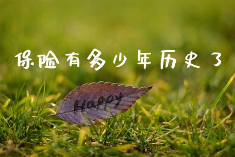 保险有多少年历史了_https://wap.lxcailiao.com_融资担保_第1张