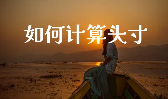如何计算头寸_https://wap.lxcailiao.com_股权投资_第1张