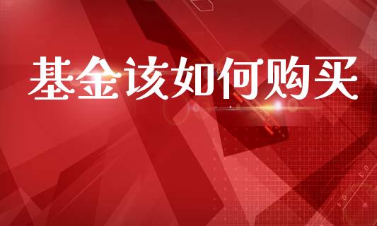 基金该如何购买_https://wap.lxcailiao.com_融资担保_第1张