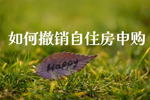 如何撤销自住房申购_https://wap.lxcailiao.com_金融监管_第1张