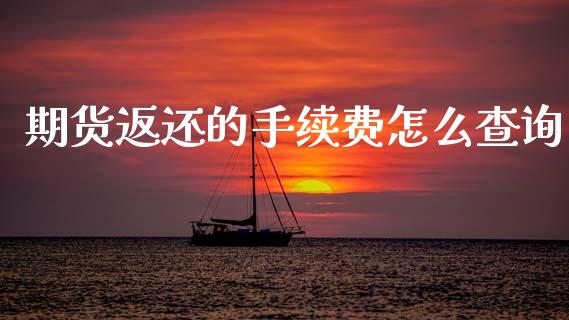 期货返还的手续费怎么查询_https://wap.lxcailiao.com_金融监管_第1张