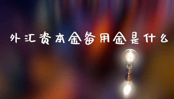外汇资本金备用金是什么_https://wap.lxcailiao.com_财务管理_第1张