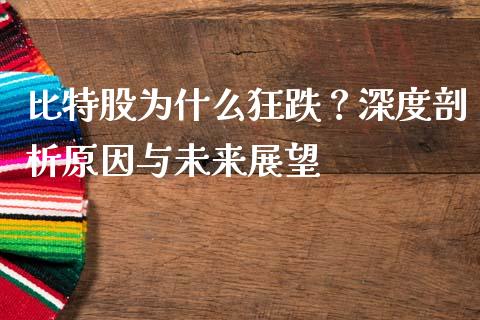 比特股为什么狂跌？深度剖析原因与未来展望_https://wap.lxcailiao.com_财务管理_第1张