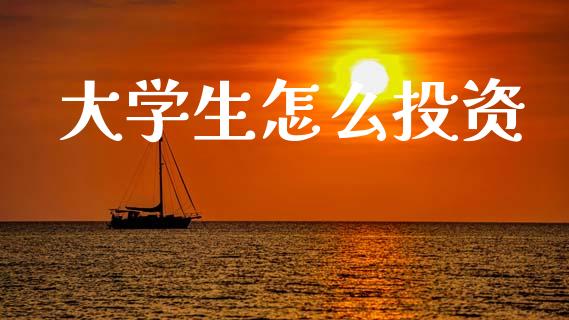 大学生怎么投资_https://wap.lxcailiao.com_融资担保_第1张