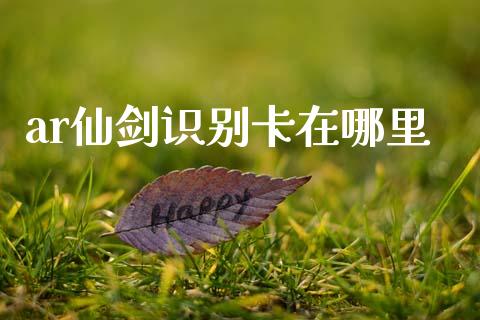 ar仙剑识别卡在哪里_https://wap.lxcailiao.com_融资担保_第1张