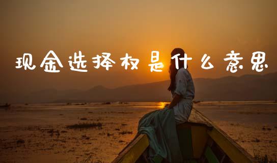 现金选择权是什么意思_https://wap.lxcailiao.com_融资担保_第1张