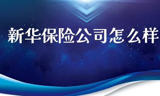 新华保险公司怎么样_https://wap.lxcailiao.com_金融监管_第1张