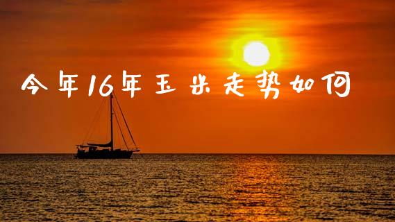 今年16年玉米走势如何_https://wap.lxcailiao.com_财务管理_第1张