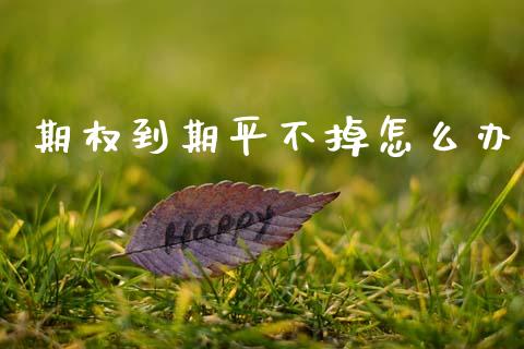 期权到期平不掉怎么办_https://wap.lxcailiao.com_融资担保_第1张