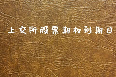 上交所股票期权到期日_https://wap.lxcailiao.com_金融监管_第1张