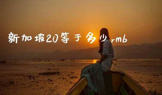 新加坡20等于多少rmb_https://wap.lxcailiao.com_财务管理_第1张