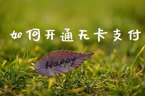 如何开通无卡支付_https://wap.lxcailiao.com_融资担保_第1张
