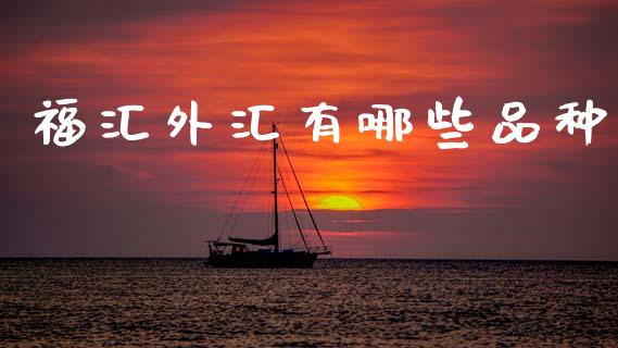 福汇外汇有哪些品种_https://wap.lxcailiao.com_财务管理_第1张