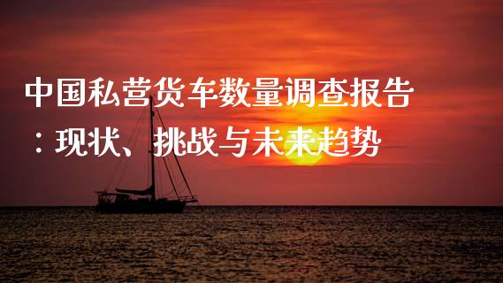 中国私营货车数量调查报告：现状、挑战与未来趋势_https://wap.lxcailiao.com_财务管理_第1张