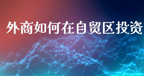 外商如何在自贸区投资_https://wap.lxcailiao.com_融资担保_第1张