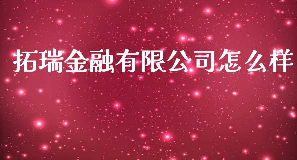 拓瑞金融有限公司怎么样_https://wap.lxcailiao.com_财务管理_第1张