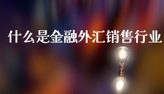 什么是金融外汇销售行业_https://wap.lxcailiao.com_财务管理_第1张