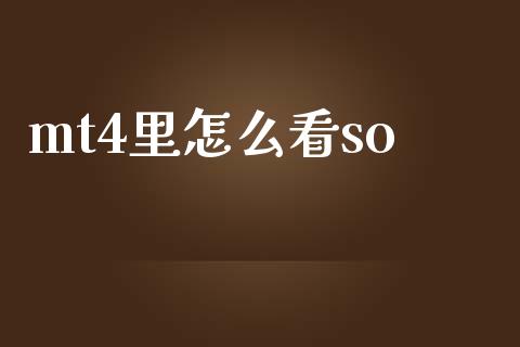 mt4里怎么看so_https://wap.lxcailiao.com_股权投资_第1张