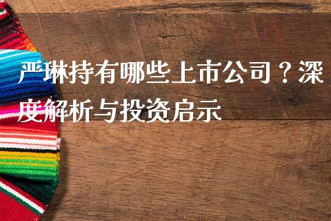 严琳持有哪些上市公司？深度解析与投资启示_https://wap.lxcailiao.com_融资担保_第1张