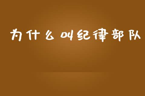 为什么叫纪律部队_https://wap.lxcailiao.com_融资担保_第1张