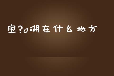 宝?o湖在什么地方_https://wap.lxcailiao.com_股权投资_第1张