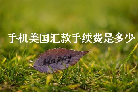 手机美国汇款手续费是多少_https://wap.lxcailiao.com_财务管理_第1张