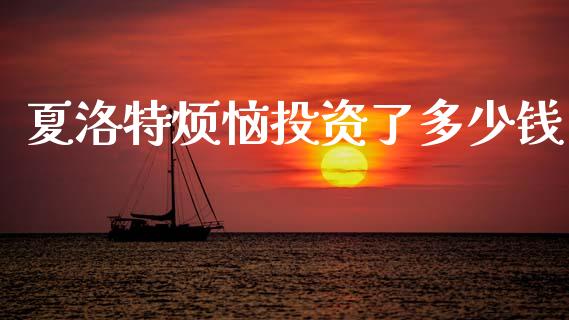 夏洛特烦恼投资了多少钱_https://wap.lxcailiao.com_财务管理_第1张