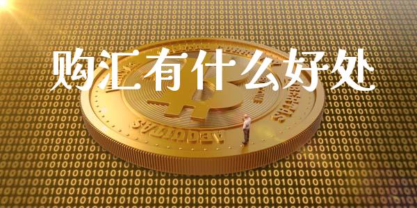 购汇有什么好处_https://wap.lxcailiao.com_金融监管_第1张