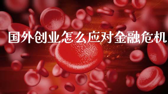 国外创业怎么应对金融危机_https://wap.lxcailiao.com_融资担保_第1张