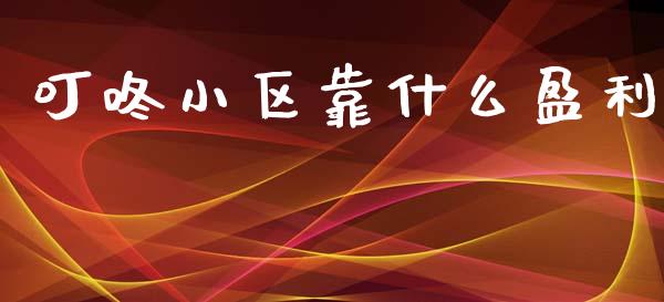 叮咚小区靠什么盈利_https://wap.lxcailiao.com_融资担保_第1张
