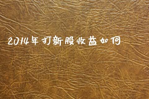 2014年打新股收益如何_https://wap.lxcailiao.com_金融监管_第1张