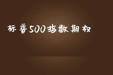 标普500指数期权_https://wap.lxcailiao.com_融资担保_第1张