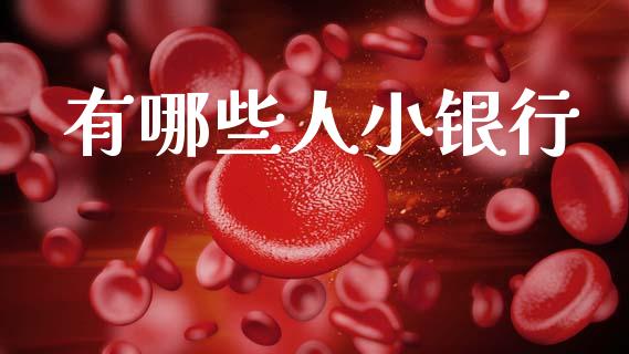 有哪些人小银行_https://wap.lxcailiao.com_股权投资_第1张