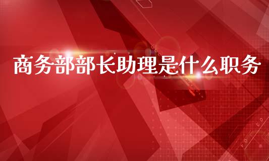 商务部部长助理是什么职务_https://wap.lxcailiao.com_股权投资_第1张
