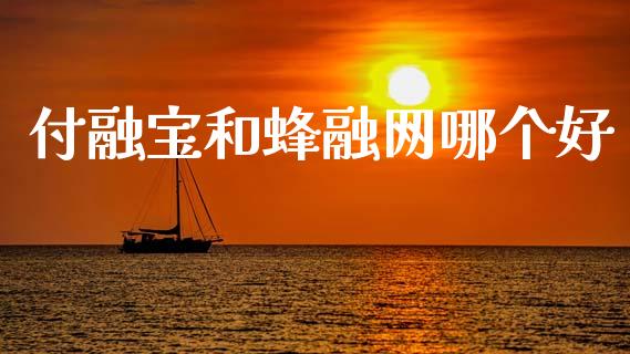 付融宝和蜂融网哪个好_https://wap.lxcailiao.com_融资担保_第1张