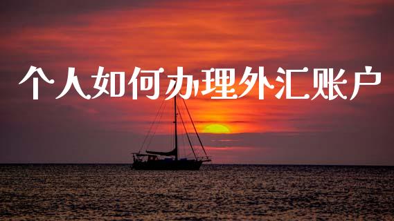 个人如何办理外汇账户_https://wap.lxcailiao.com_金融监管_第1张
