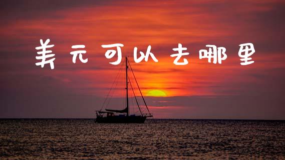 美元可以去哪里_https://wap.lxcailiao.com_财务管理_第1张