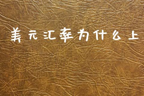 美元汇率为什么上_https://wap.lxcailiao.com_股权投资_第1张
