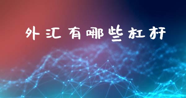 外汇有哪些杠杆_https://wap.lxcailiao.com_股权投资_第1张