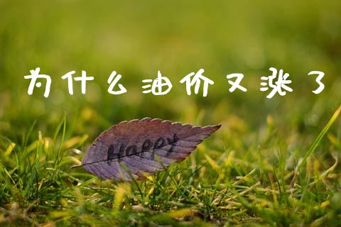 为什么油价又涨了_https://wap.lxcailiao.com_金融监管_第1张