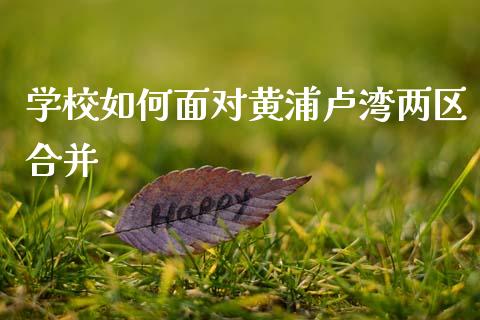 学校如何面对黄浦卢湾两区合并_https://wap.lxcailiao.com_融资担保_第1张
