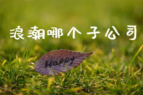 浪潮哪个子公司_https://wap.lxcailiao.com_股权投资_第1张