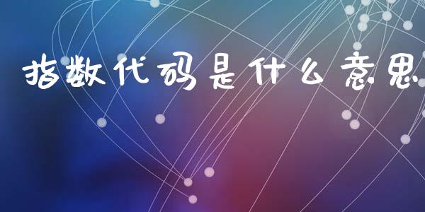 指数代码是什么意思_https://wap.lxcailiao.com_金融监管_第1张