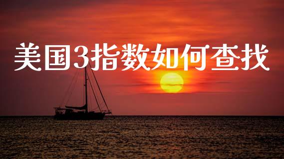 美国3指数如何查找_https://wap.lxcailiao.com_融资担保_第1张