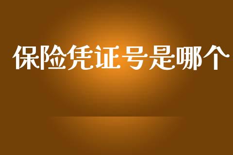 保险凭证号是哪个_https://wap.lxcailiao.com_财务管理_第1张